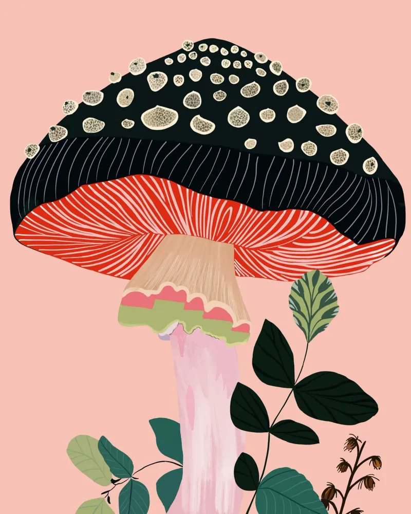 Fungo da giardino poster con telaio in alluminio da ArtsySesta