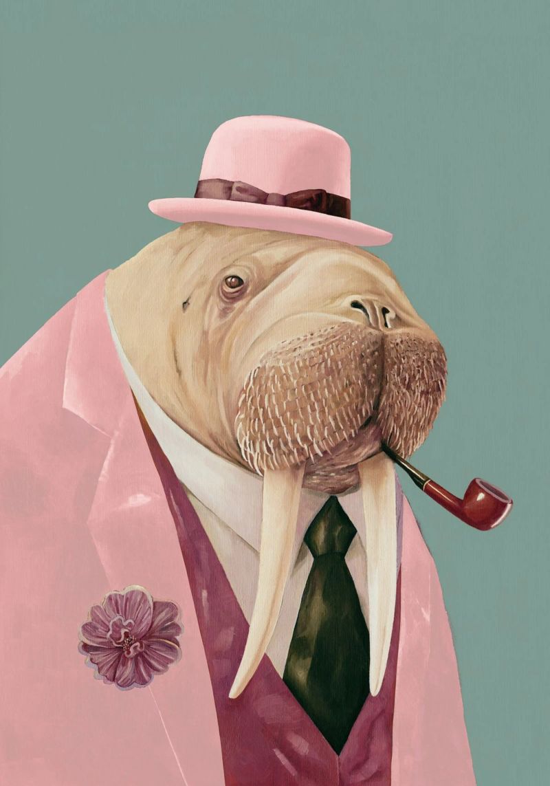 Dapper Walrus - Pink green poster van Animal Crew