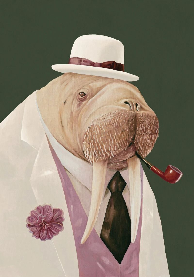 Dapper Walrus - Moss Green White poster van Animal Crew