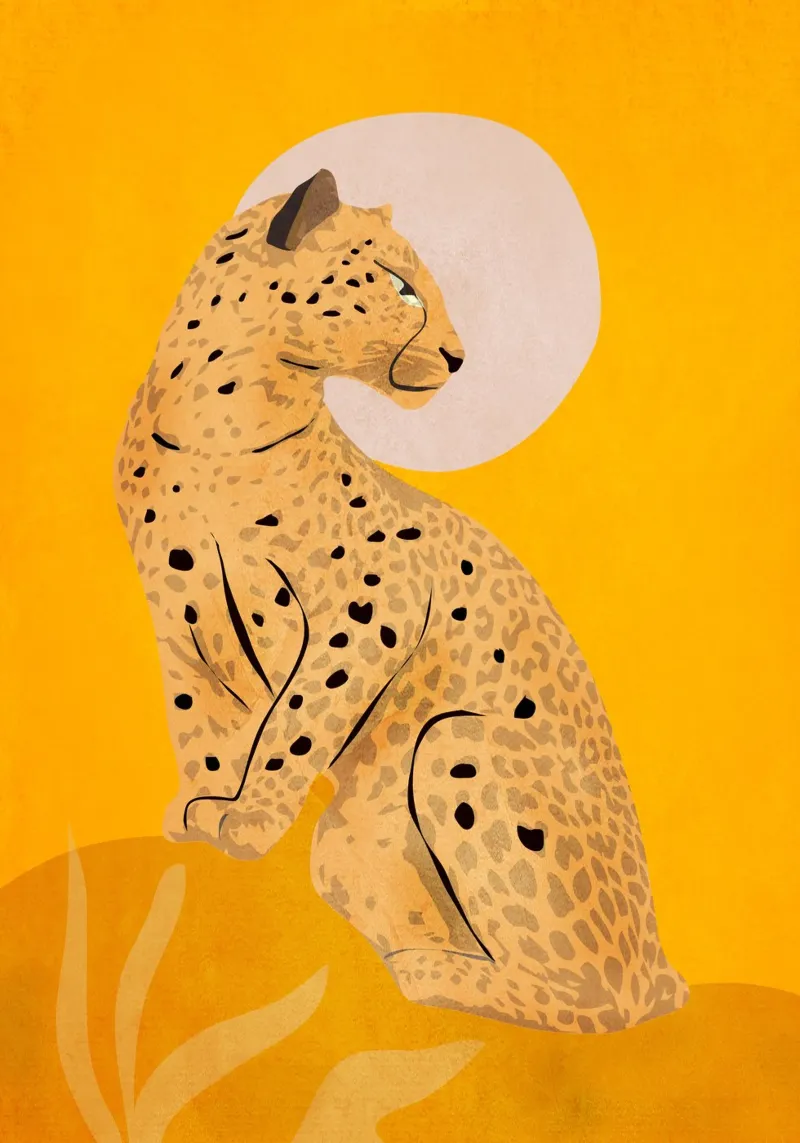 Leopardo pellicola backlit da ThingDesign