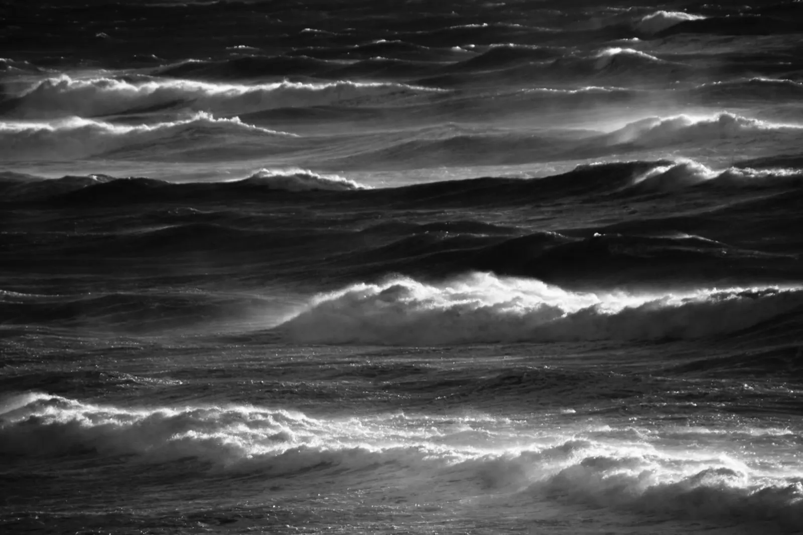 Cuore del mare I pellicola backlit da Tal Paz-Fridman