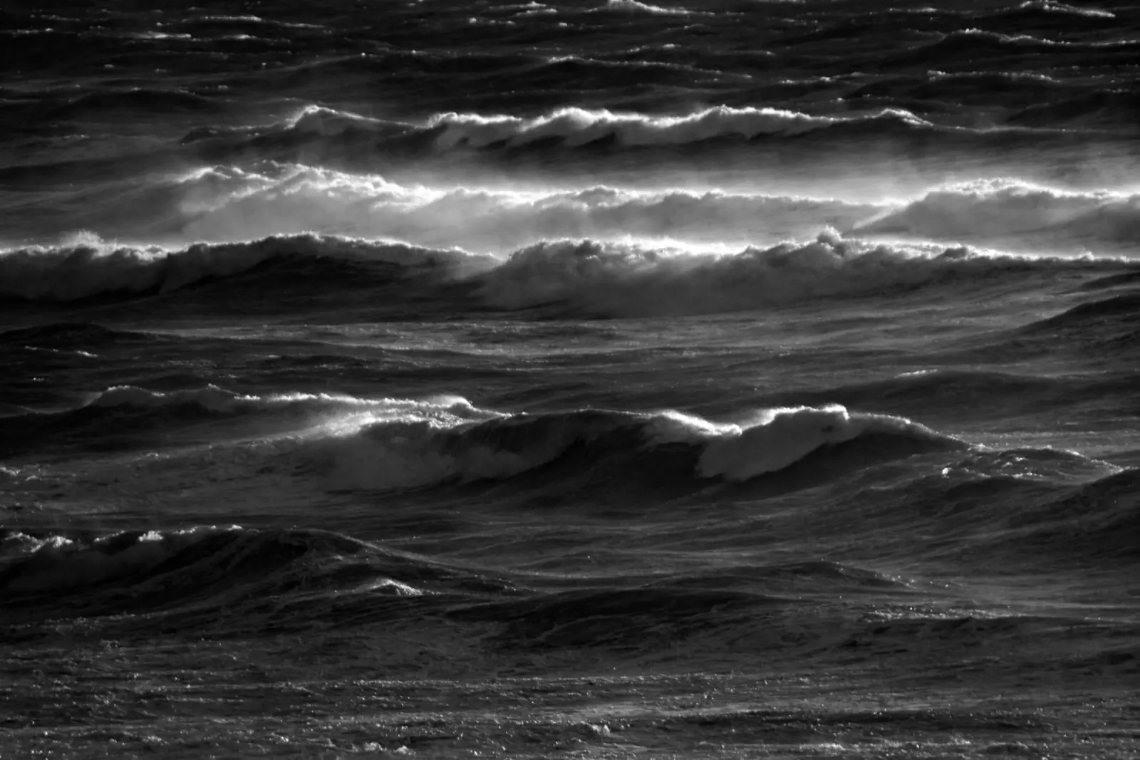 Cuore del mare II pellicola backlit da Tal Paz-Fridman