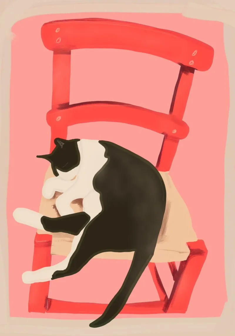 Gatto su sedia rossa poster con telaio in plastica da LeaDArt