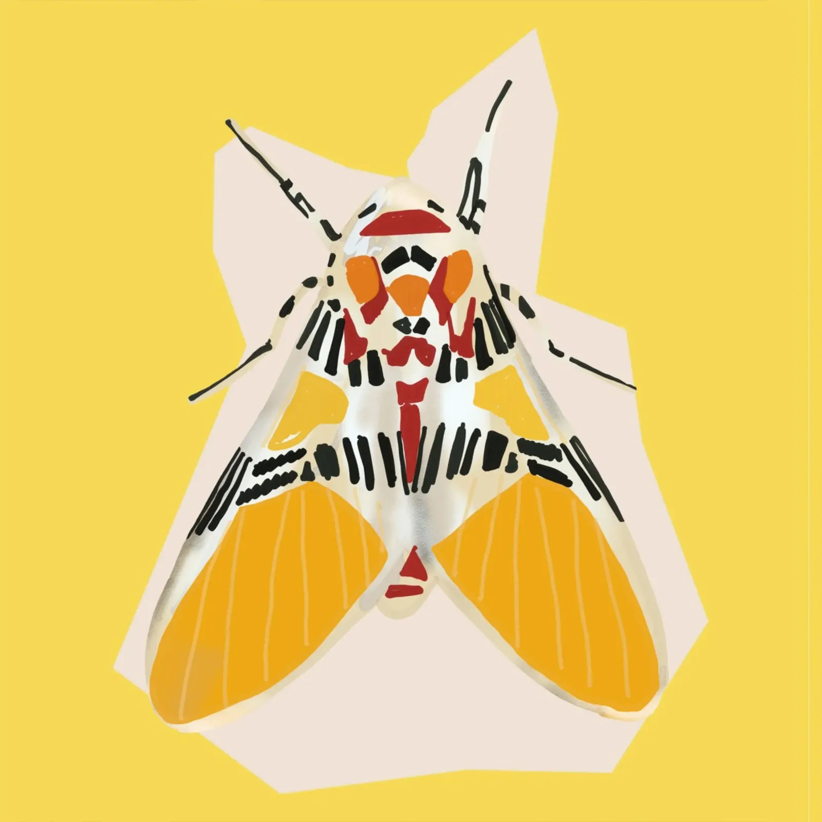 Papillon de nuit sur jaune poster avec cadre en aluminium de LeaDArt