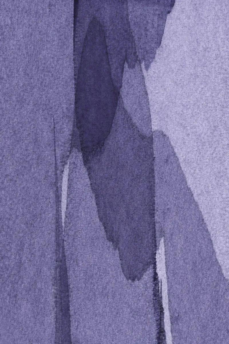 transparent violet pellicola backlit da IRIS LEHNHARDT FINE ART