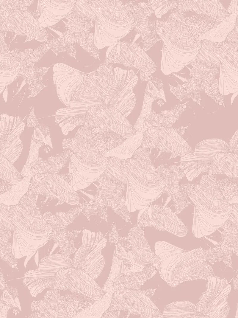 pavoni pink plexiglass da Giulio Iurissevich