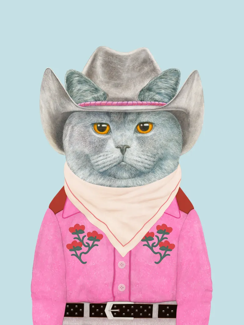 Cowboy Cat - Británico de pelo corto poster de Animal Crew