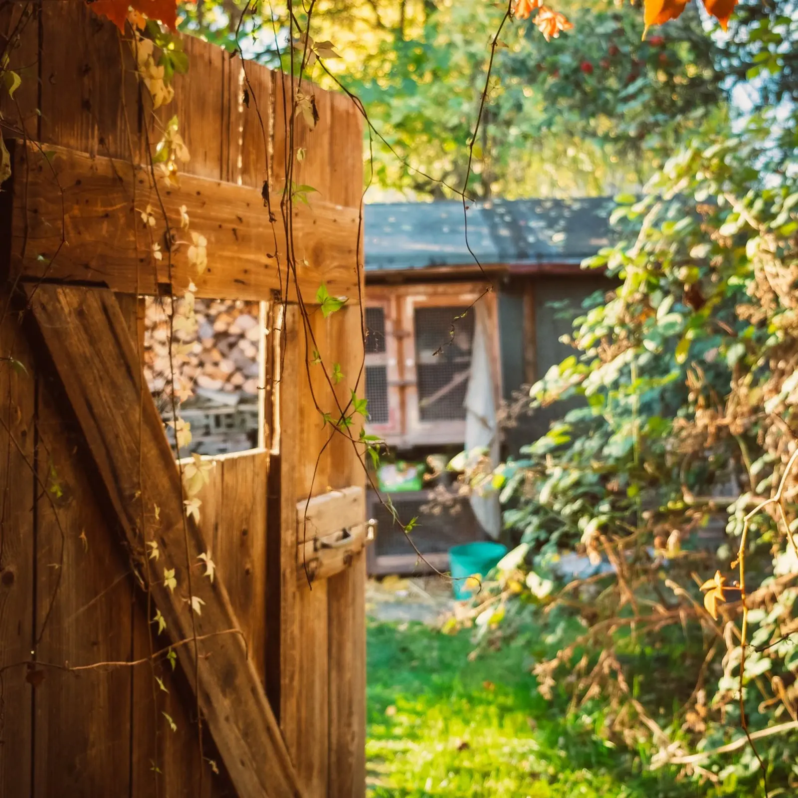 Gartentür in den goldener Herbst Poster mit Holzrahmen von Natur Wandbild — Orte für die Seele