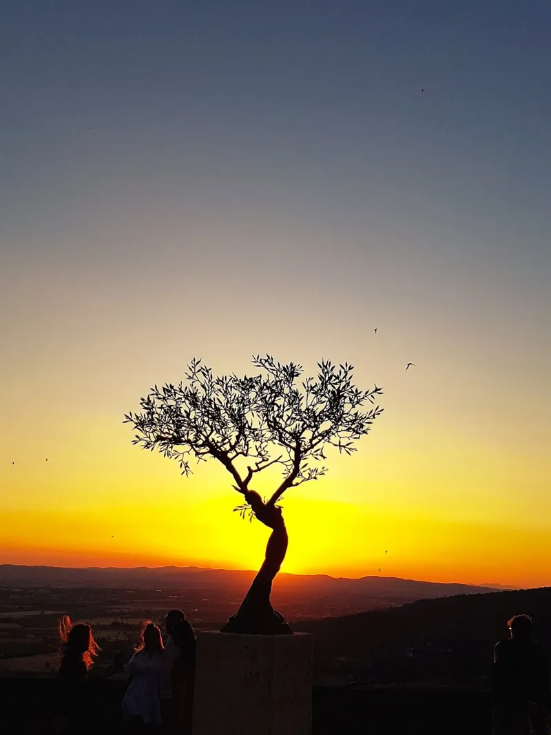 Zonsondergang boom Toscana fotografie canvas met Baklijst van jay