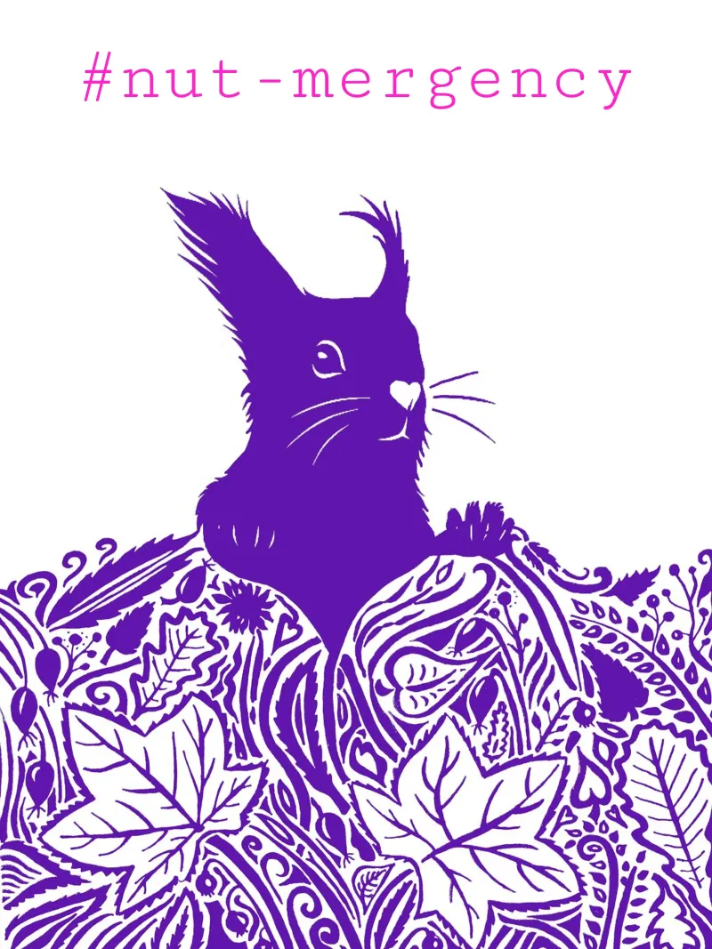 #nut-mergency - Eichhörnchen blaulila tela con Cornice a cassetta da PaperLine Art