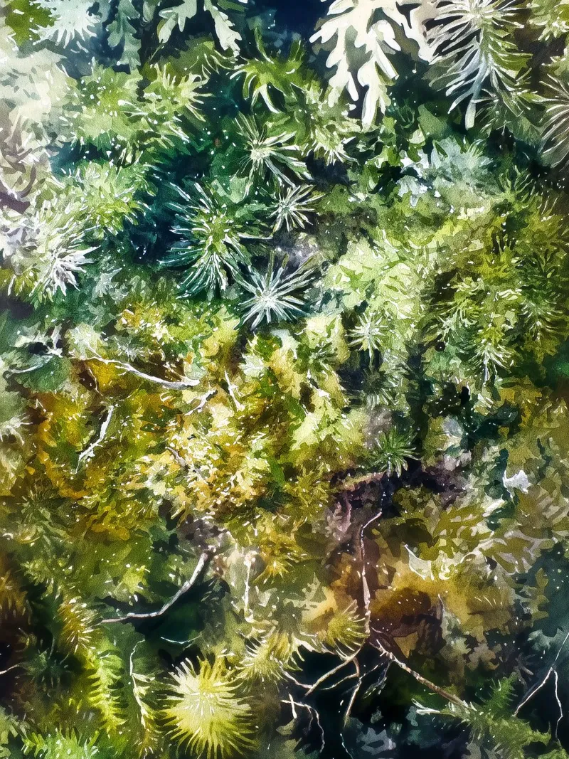Forest Floor Tapestry canvas by Luke Wilder Studio