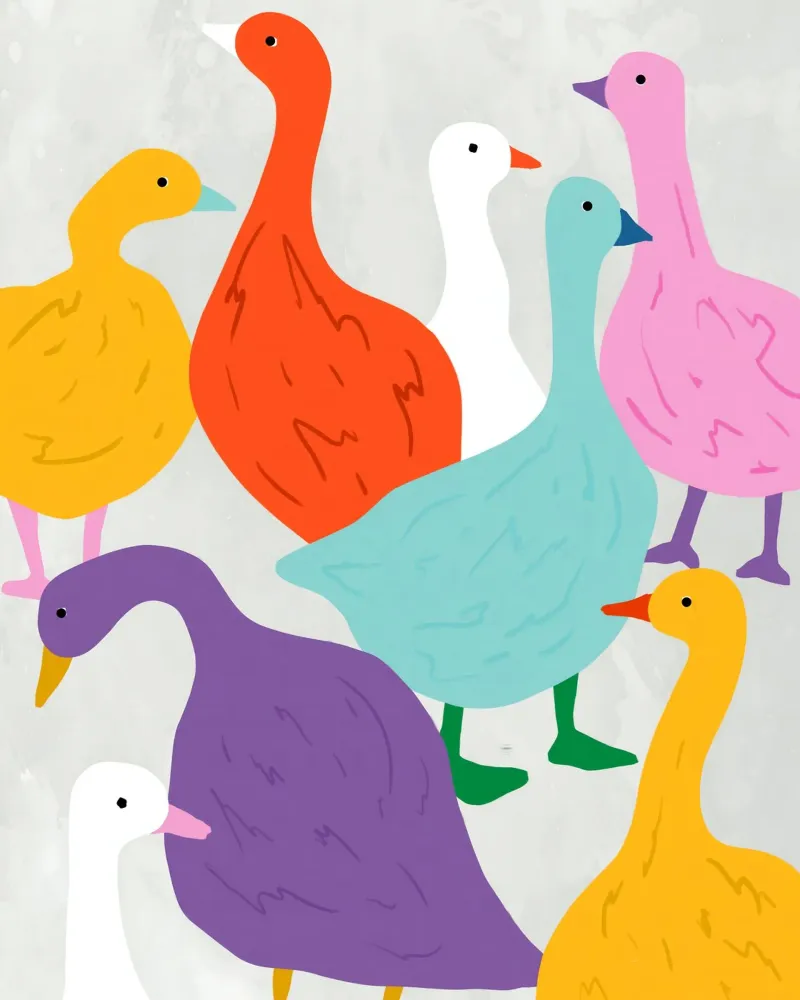 Duck Around canvas by 83oranges