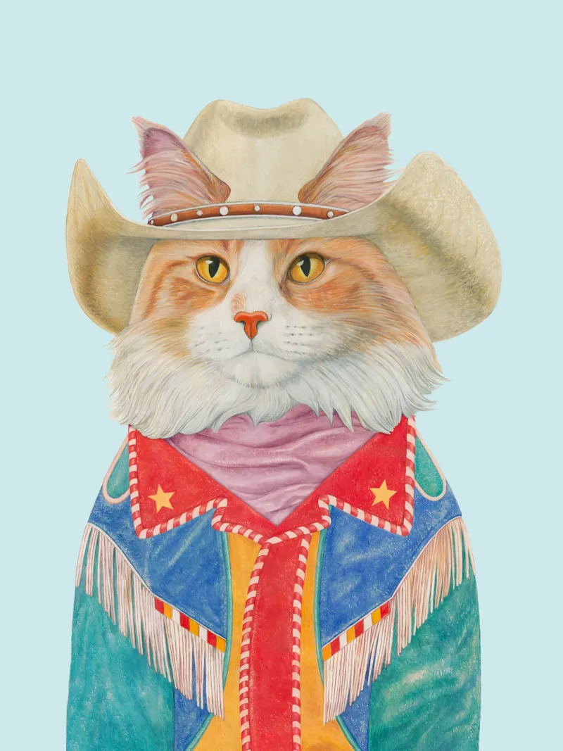 Gatto Rodeo - Gatto Ginger a pelo lungo pellicola backlit da Animal Crew