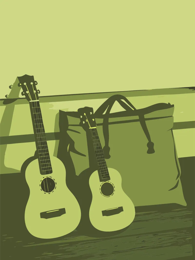 Due chitarre poster con telaio in legno da MUSIC EDITION