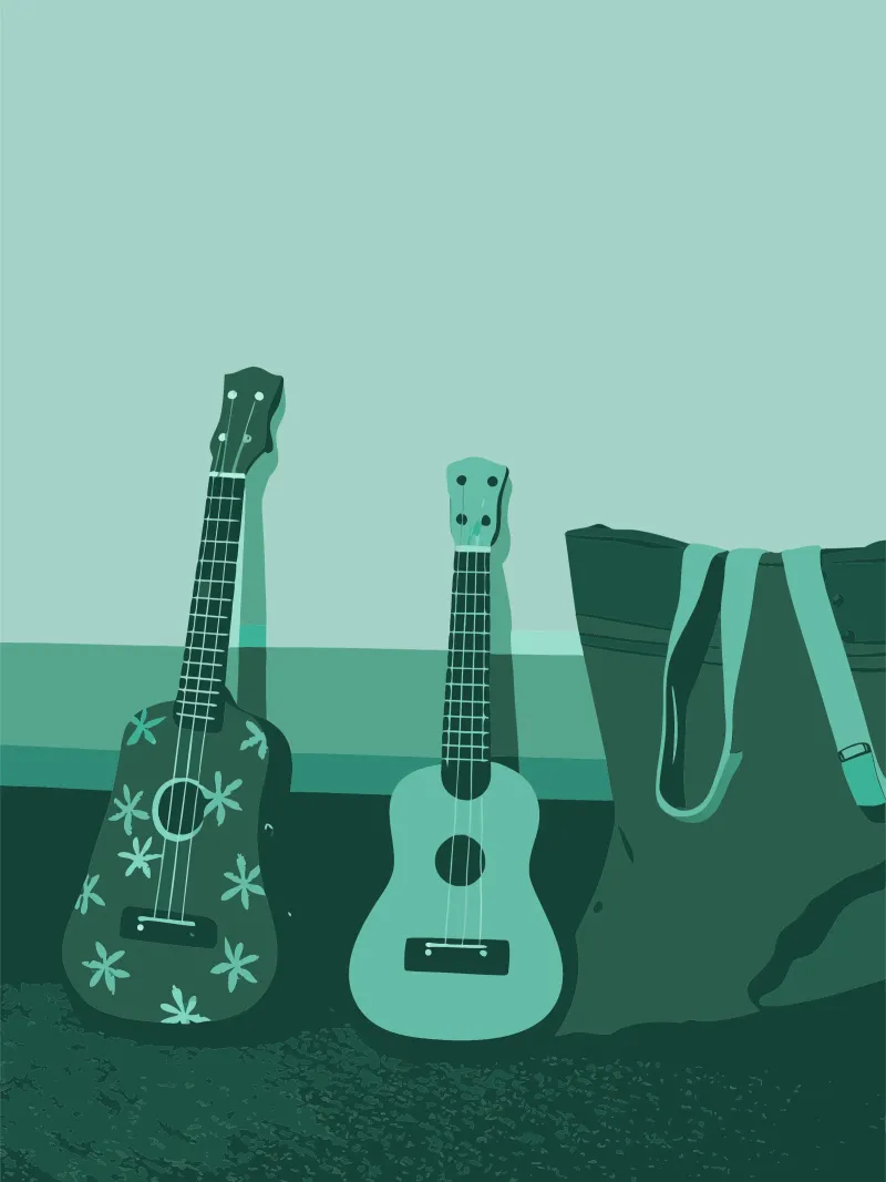 Due chitarre poster con telaio in plastica da MUSIC EDITION