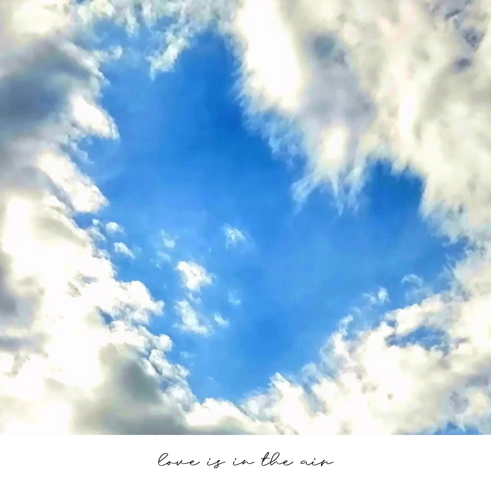 Love is in the air (Wolkenherz) pellicola backlit da Frida + frei