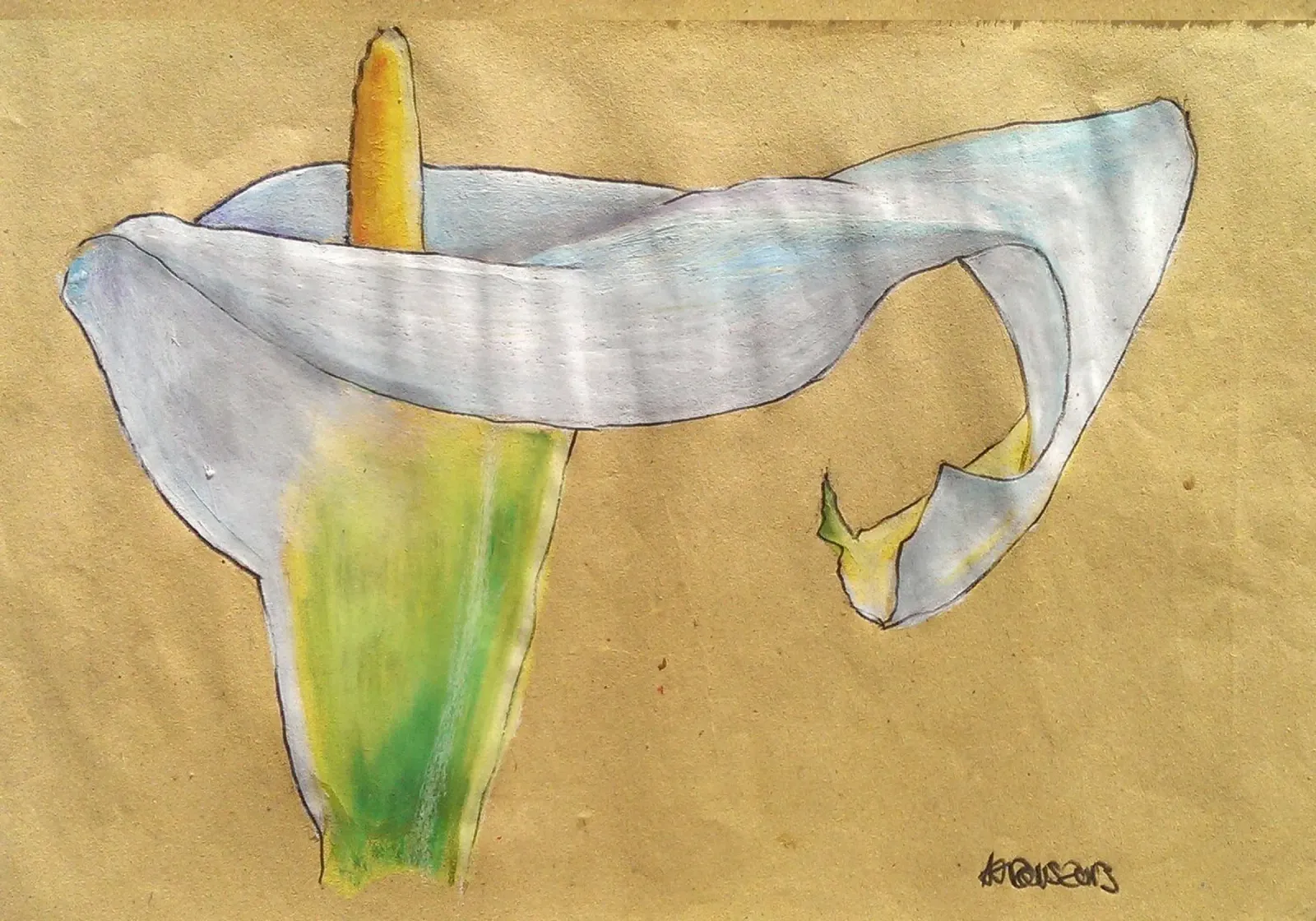 Giglio di Calla, pastello a olio su carta kraft poster con telaio in legno da Martin Ahrens