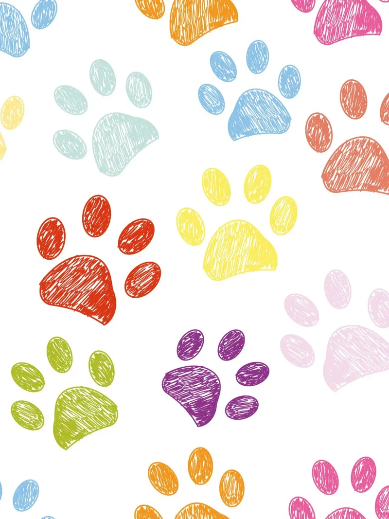Scarabocchio colorato con impronte di zampe di gatto amante del cane II poster con telaio in alluminio da gulsengunel