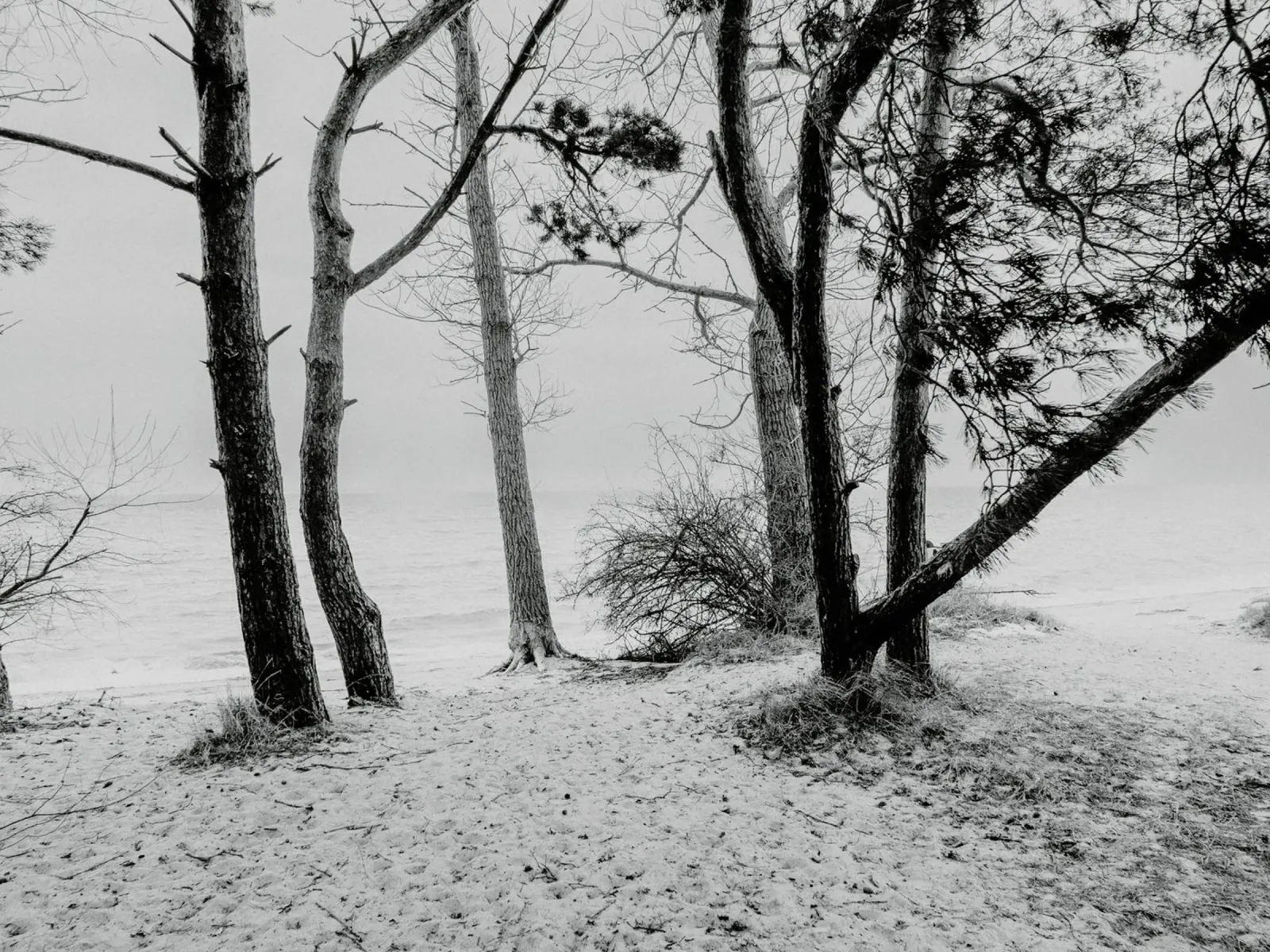 Spiaggia del Baltico I carta hahnemühle da Janine Sommer Fotografie
