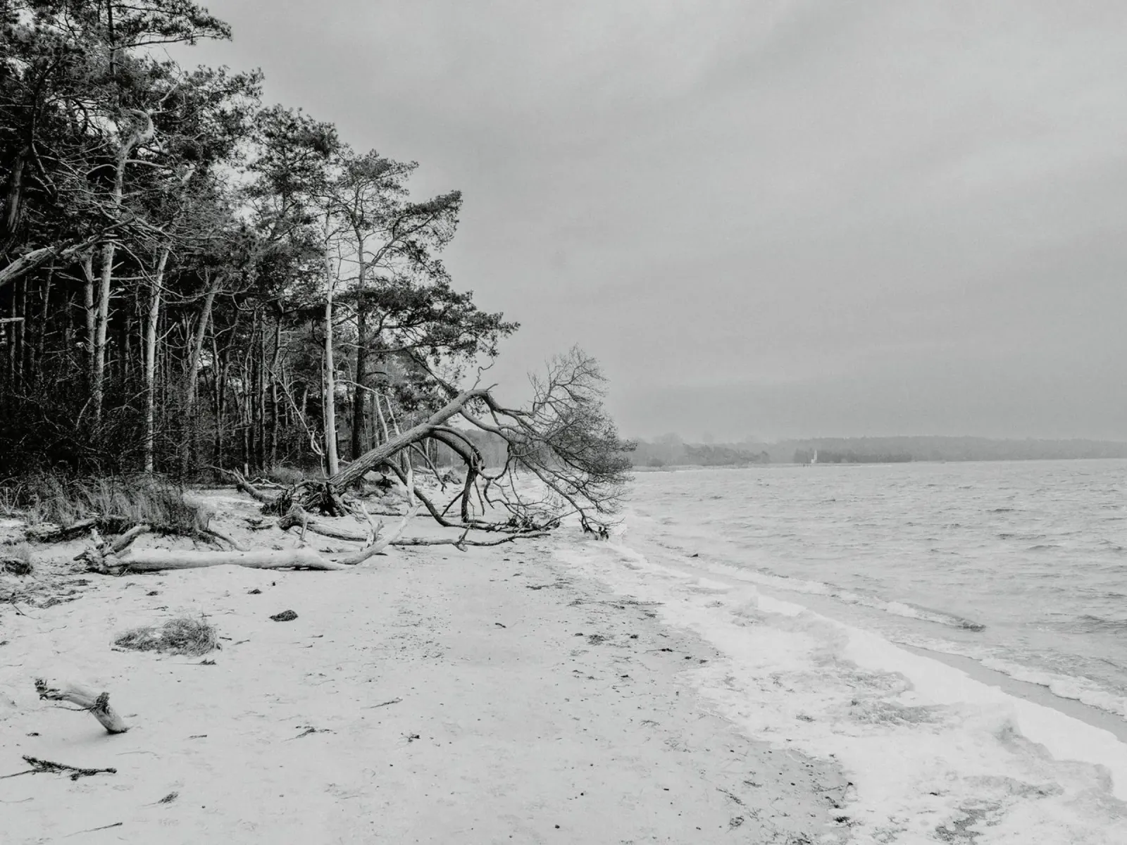Spiaggia del Baltico II carta hahnemühle da Janine Sommer Fotografie