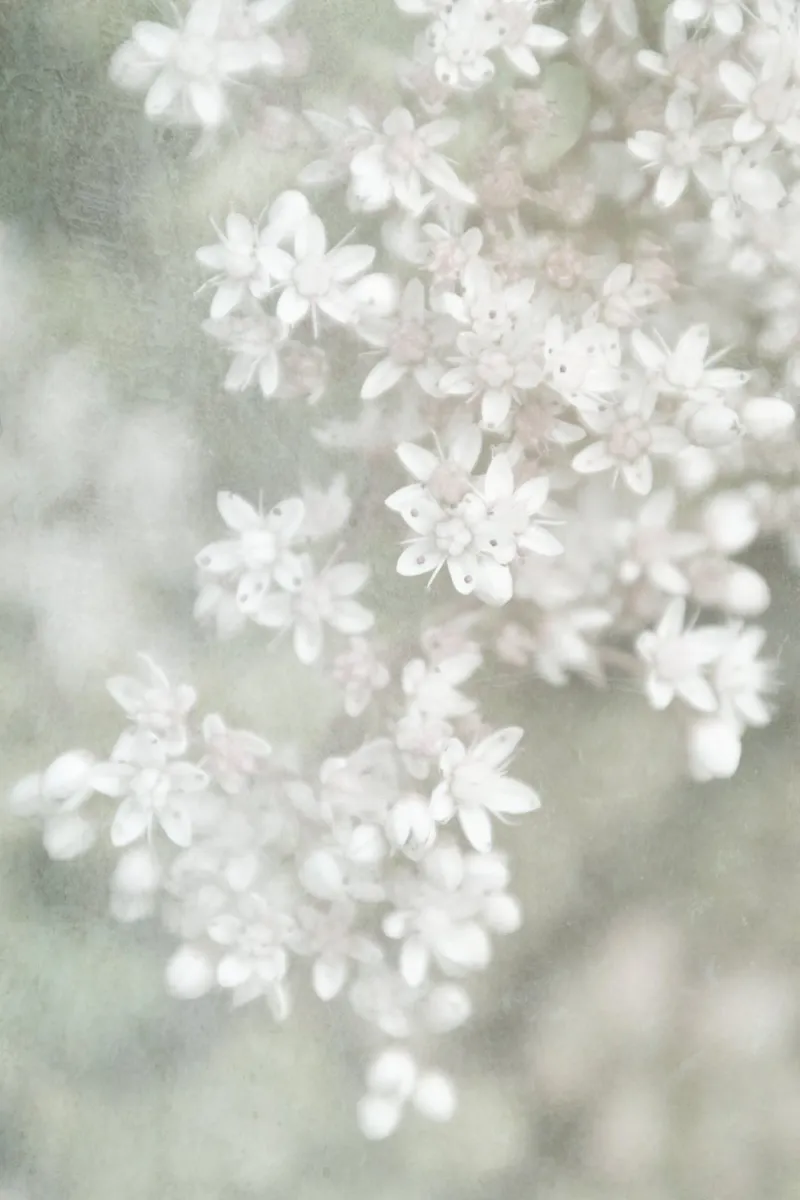 fading poster da Visuelle Poesie am Wegesrand