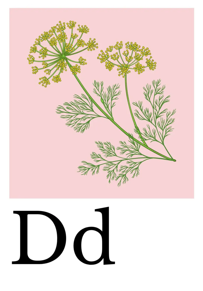 Buchstabe D - D wie Dill poster con telaio in alluminio da Grünkraftwerk