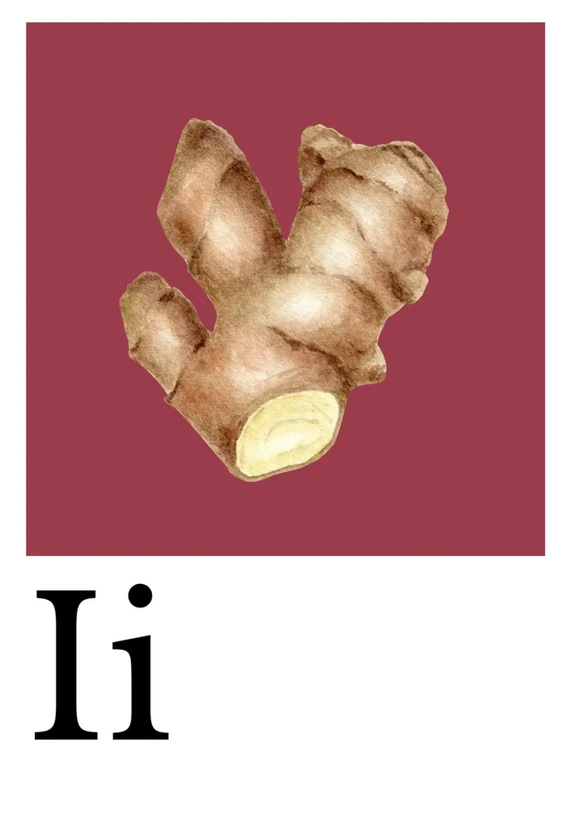 Buchstabe I - I wie Ingwer poster con telaio in alluminio da Grünkraftwerk