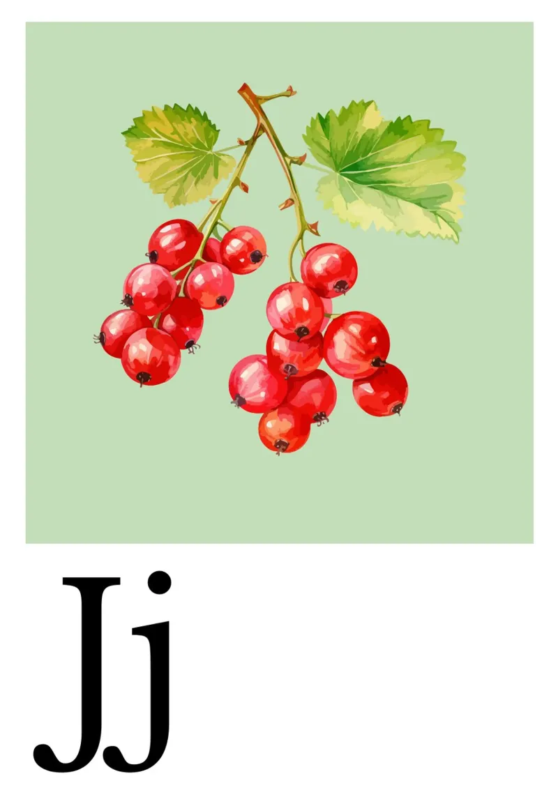 Buchstabe J - J wie Johannisbeere poster da Grünkraftwerk