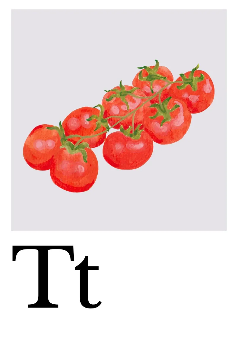 Buchstabe T - T wie Tomate canvas by Grünkraftwerk