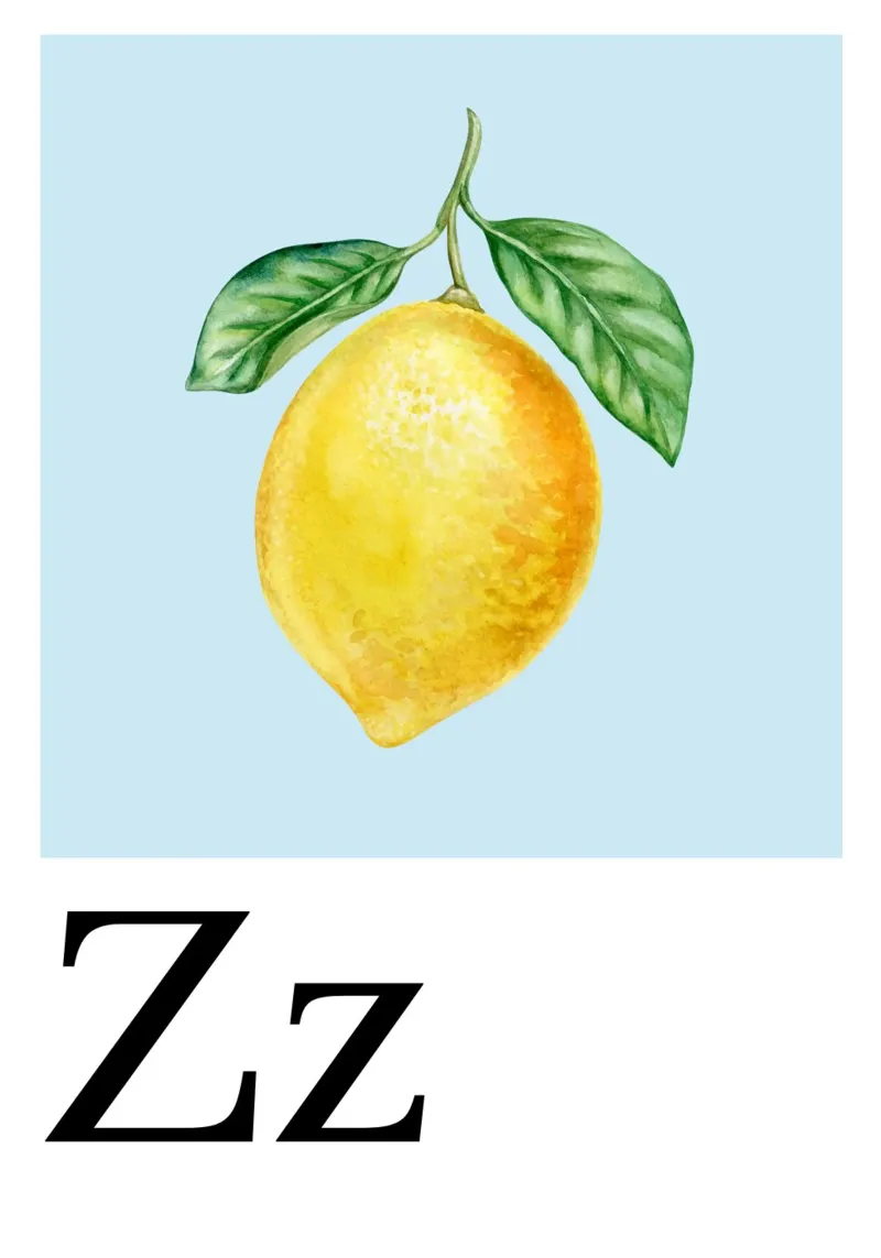 Buchstabe Z - Z wie Zitrone alu-dibond by Grünkraftwerk