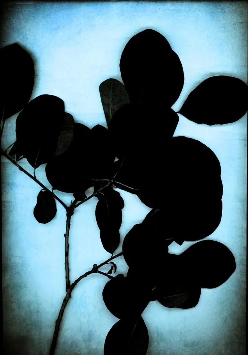 black on cyan alluminio dibond da Visuelle Poesie am Wegesrand