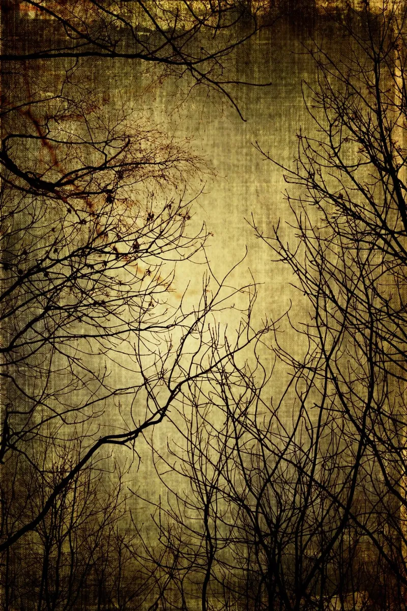 mystic light carta hahnemühle da Visuelle Poesie am Wegesrand