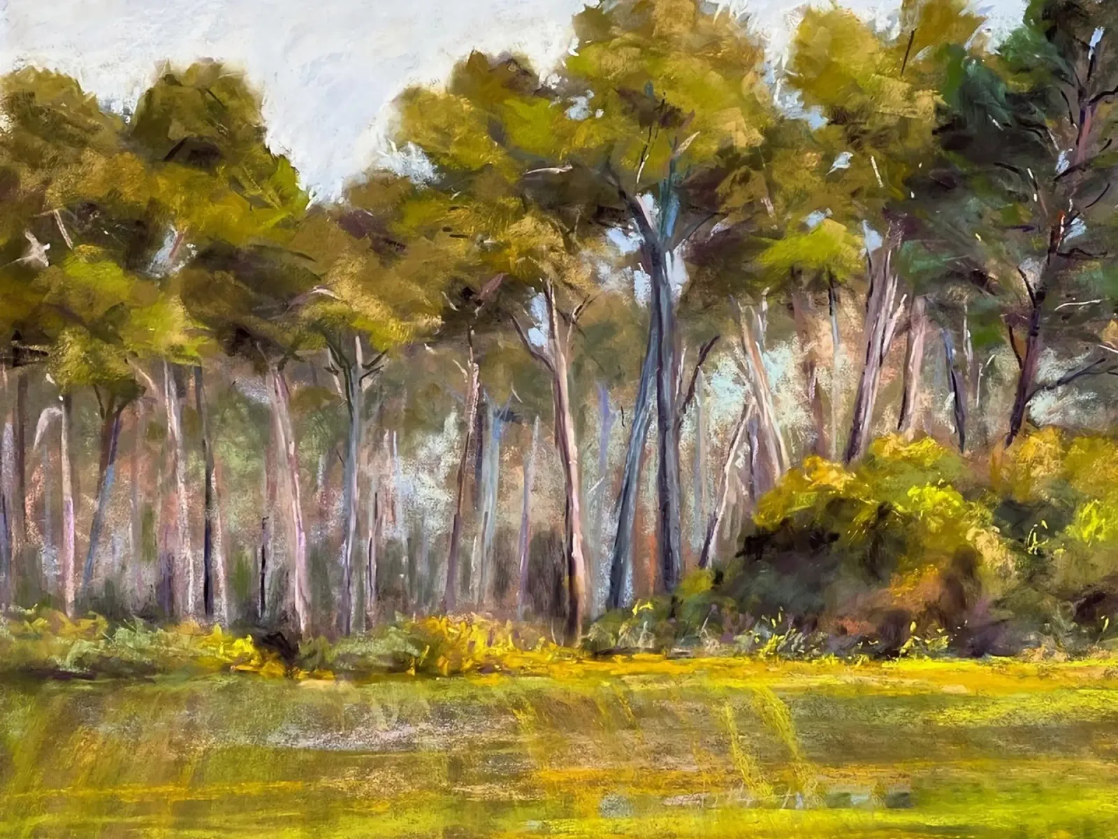 alberi della foresta poster con telaio in plastica da Karl Martin
