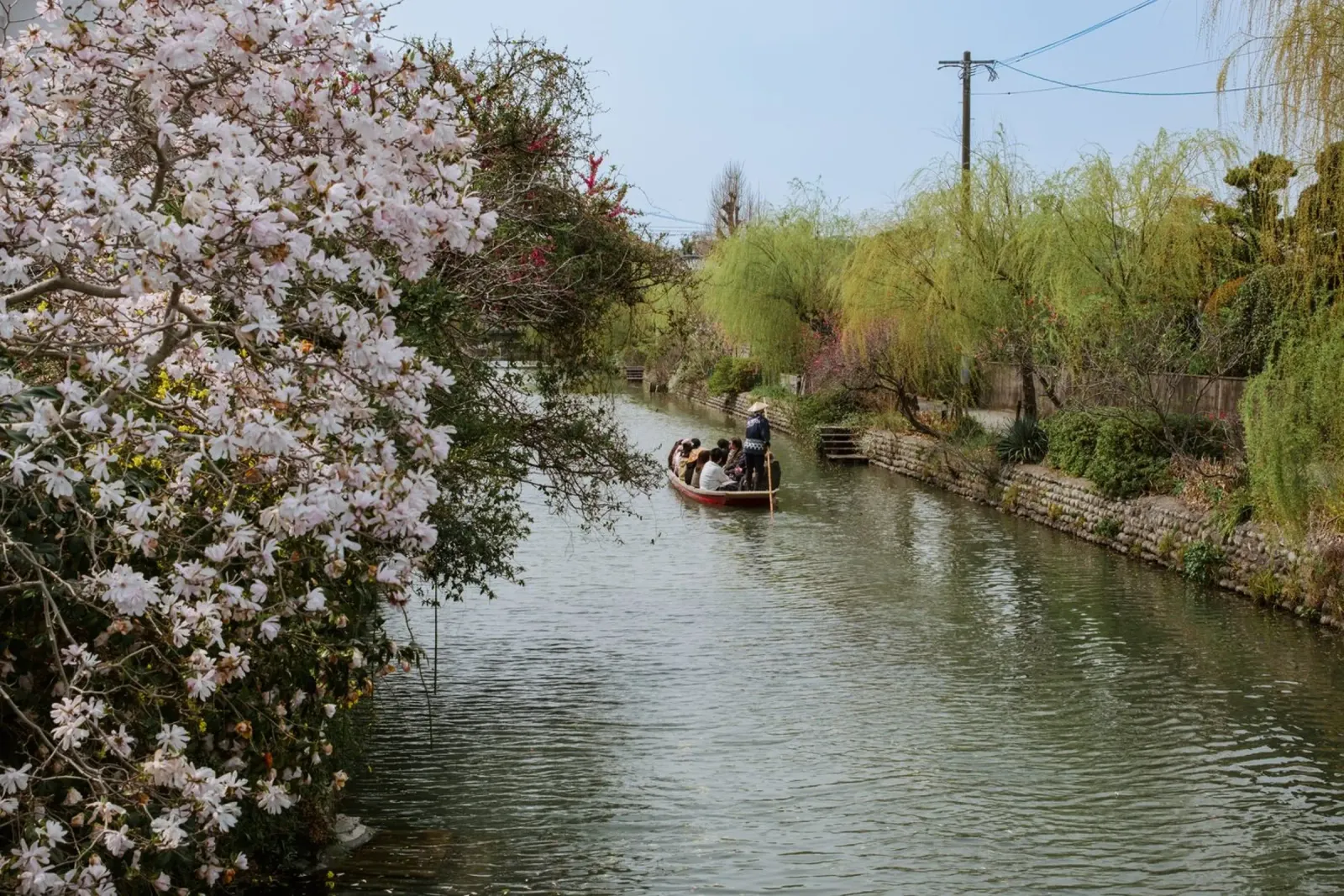 Canale dei ciliegi in fiore a Yanagawa, Giappone poster con telaio in alluminio da Marcel Bisig