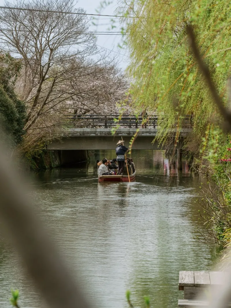 Il fiume dei ciliegi in fiore a Yanagawa, Giappone poster con telaio in plastica da Marcel Bisig