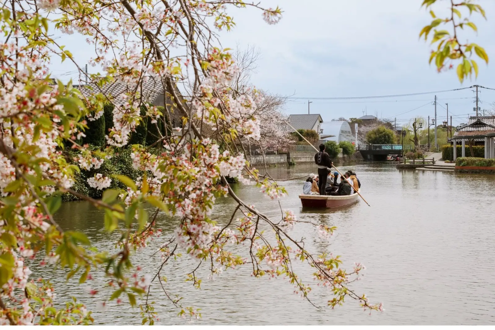 Il fiume dei ciliegi in fiore a Yanagawa, Giappone poster con telaio in plastica da Marcel Bisig