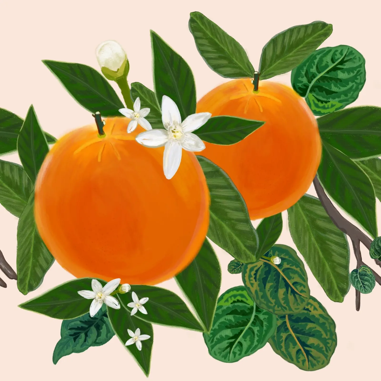 Arancio e fiori poster con telaio in alluminio da gulsengunel