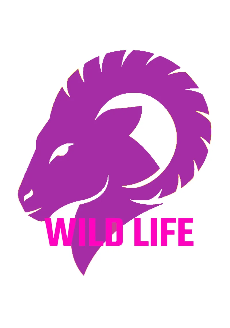 Porpora rosso una testa di capra vita selvaggia illustrazione animale poster con telaio in alluminio da Urban Life