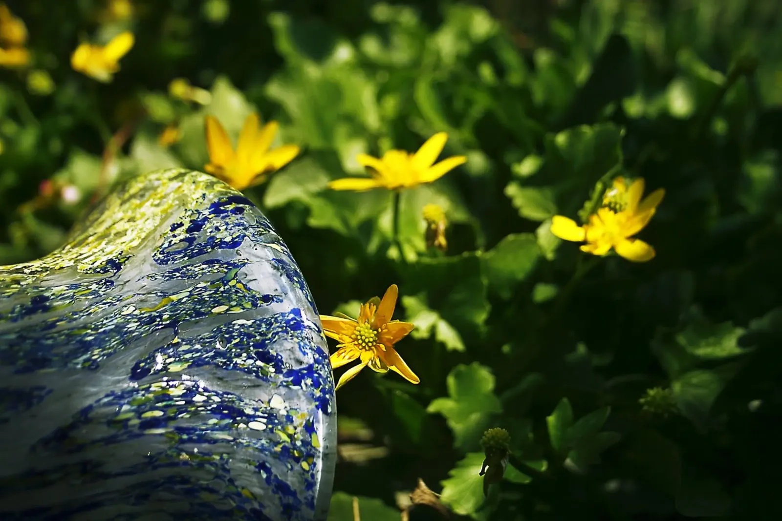 Fiori di campo gialli e vaso caduto - Racconto botanico poster con telaio in legno da jay