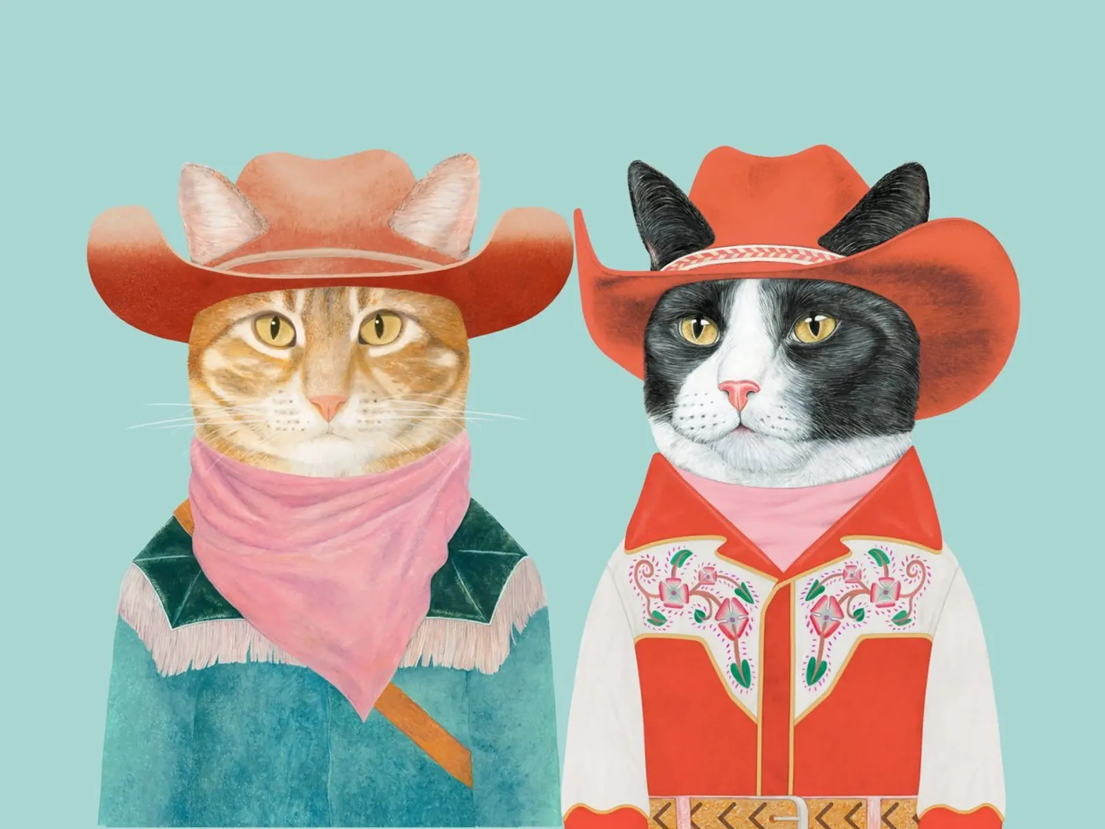 Gatti Rodeo - Gatto Ginger / Gatto Tuxeda plexiglass da Animal Crew