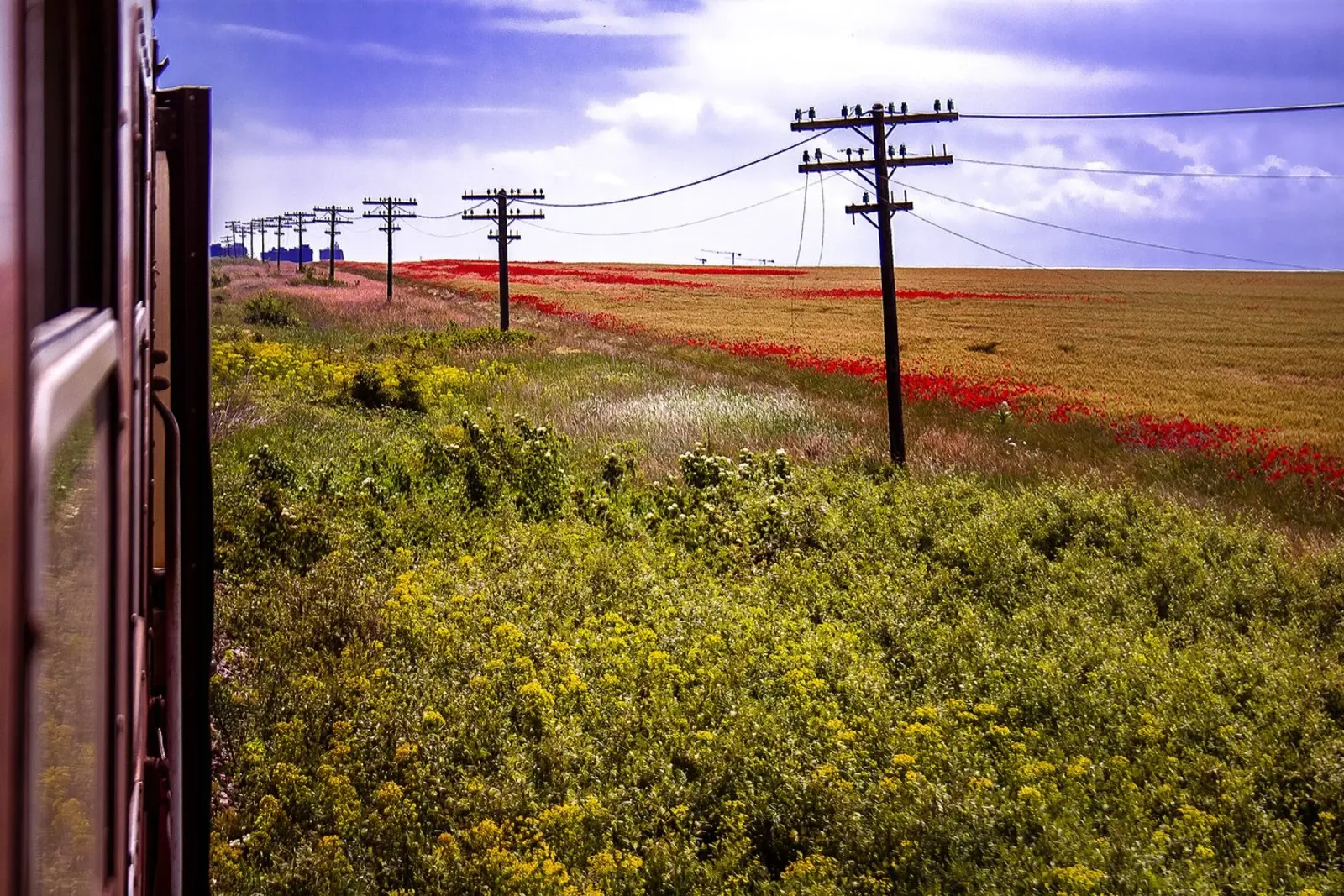 La primavera sta arrivando in Romania - Campo di fiori selvatici dal treno W poster con telaio in alluminio da jay