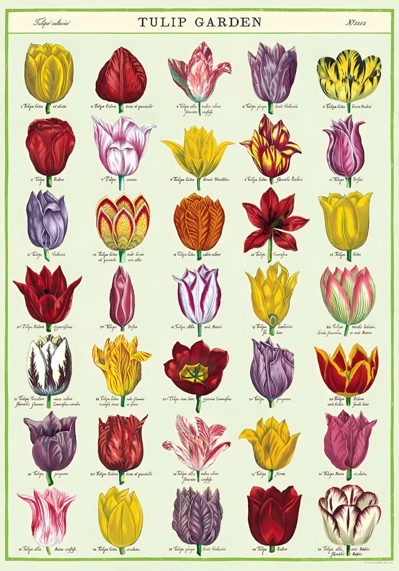 tulip garden canvas met Baklijst van Graham Robertson