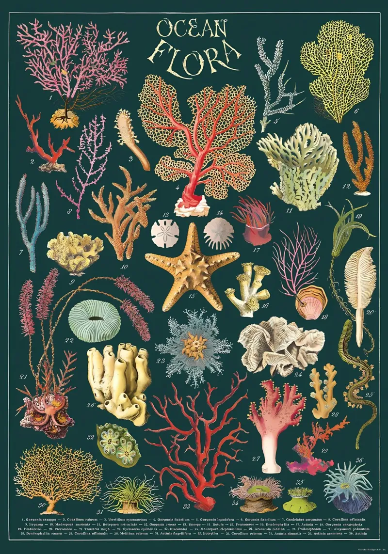 flora oceanica tela con Cornice a cassetta da Graham Robertson