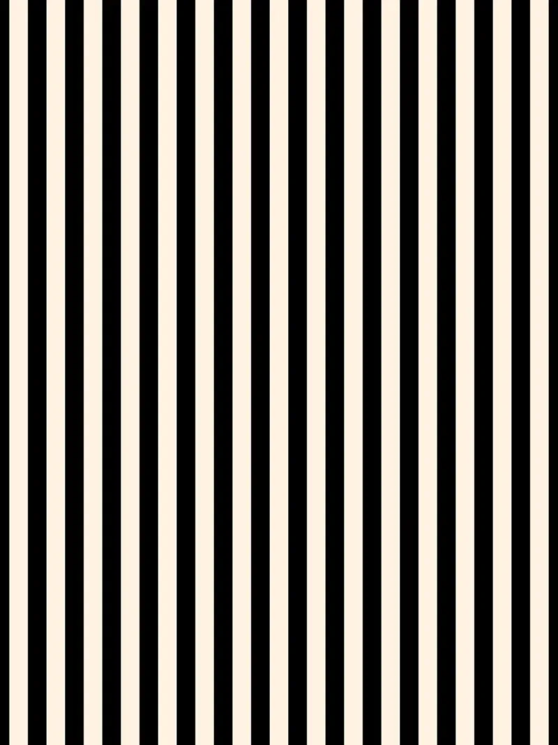 Minimal Basic Bold Stripes | Nero e Avorio pellicola backlit da Beauty in Simplicity
