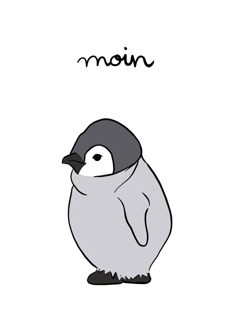 Moin Pinguin plexiglass da BAINAI