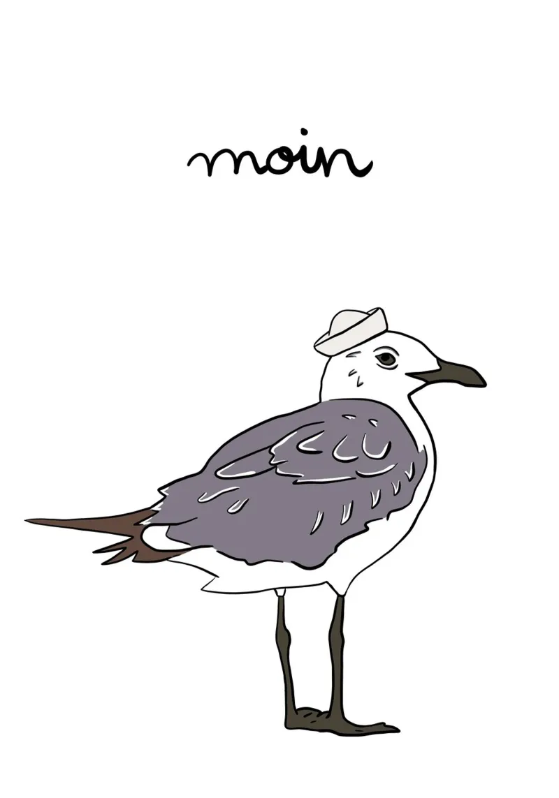 Moin Möwe carta hahnemühle da BAINAI