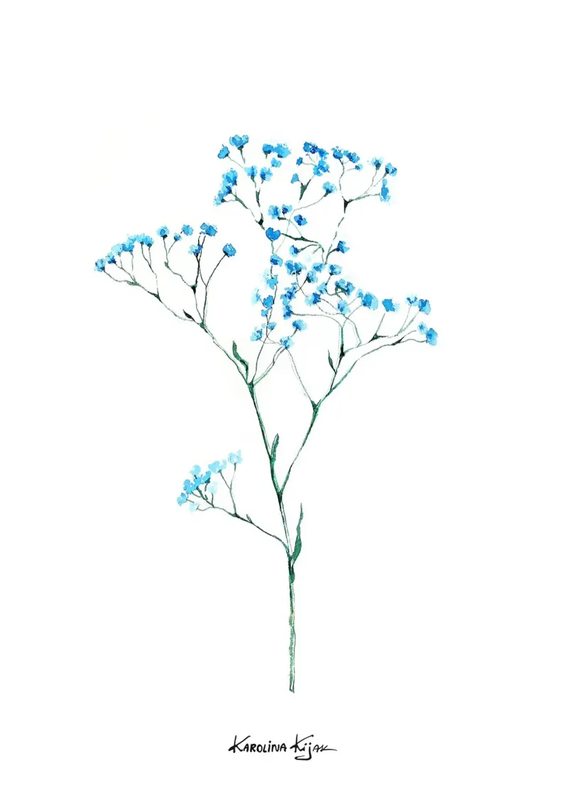 gypsophila flower poster da Karolina Kijak
