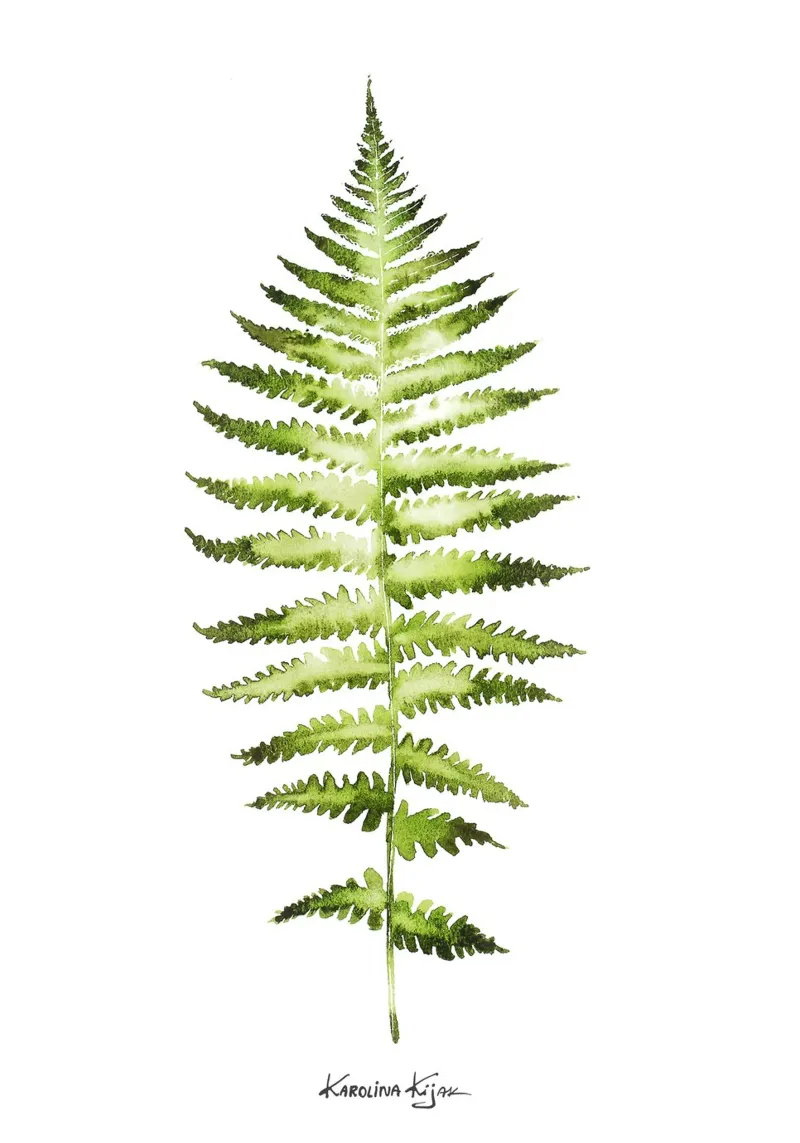 Fern leaf poster con telaio in alluminio da Karolina Kijak