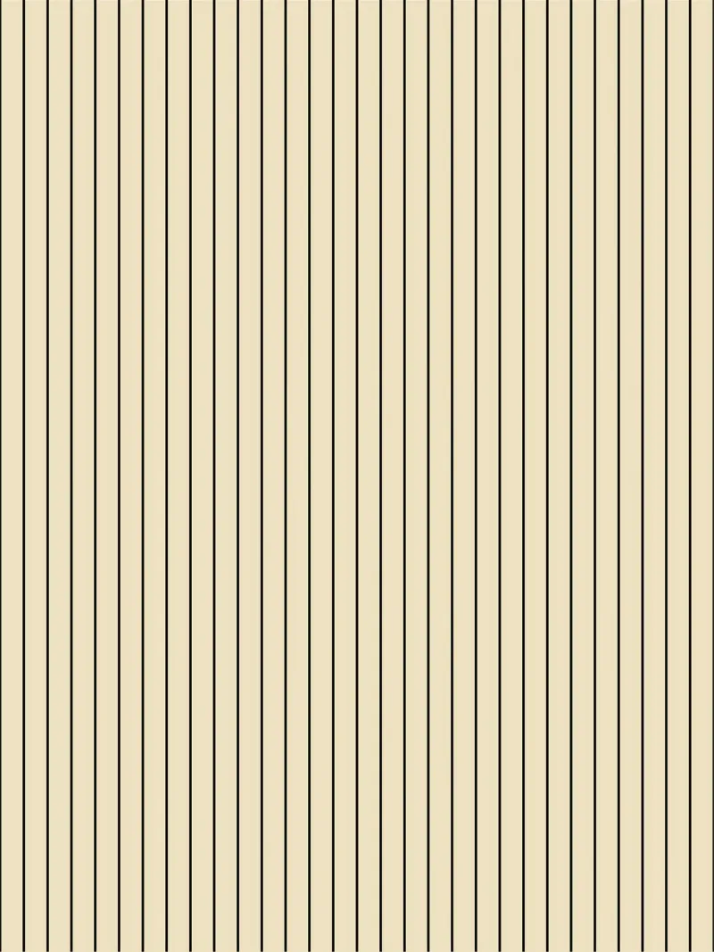 Minimal Basic Classic Pinstripe | Nero su Beige pellicola backlit da Beauty in Simplicity
