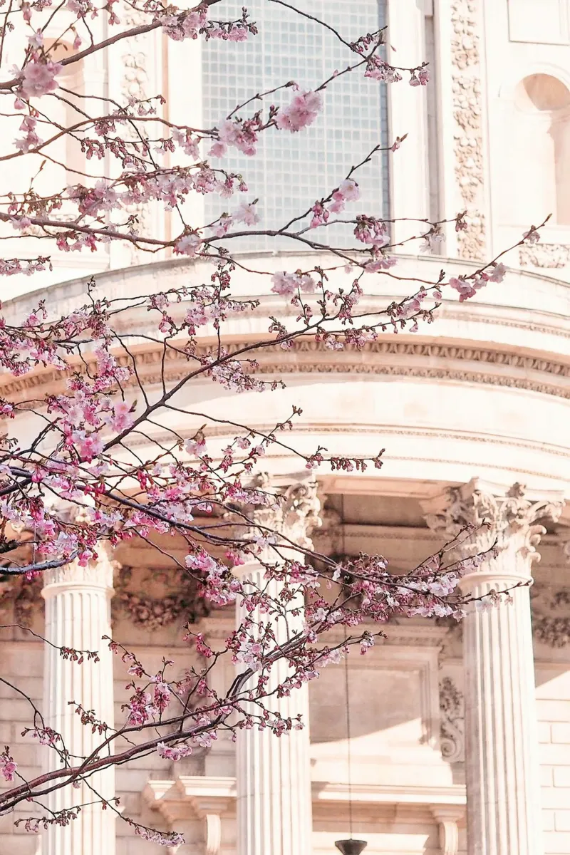 St Paul's London Blossom poster con telaio in legno da GraceDigitalArtCo